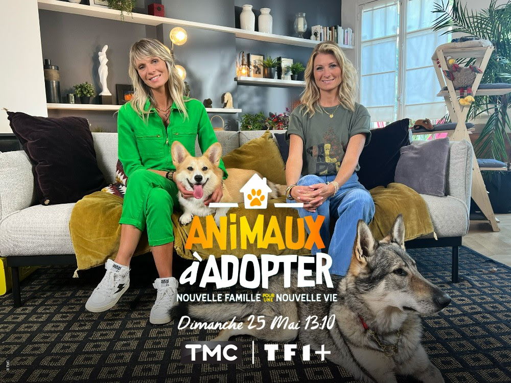 Sandrine Arcizet et Elodie Ageron relancent “Animaux à adopter” sur TMC