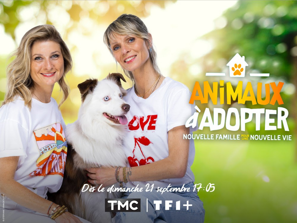Animaux à adopter : une nouvelle saison pleine d’émotions sur TMC