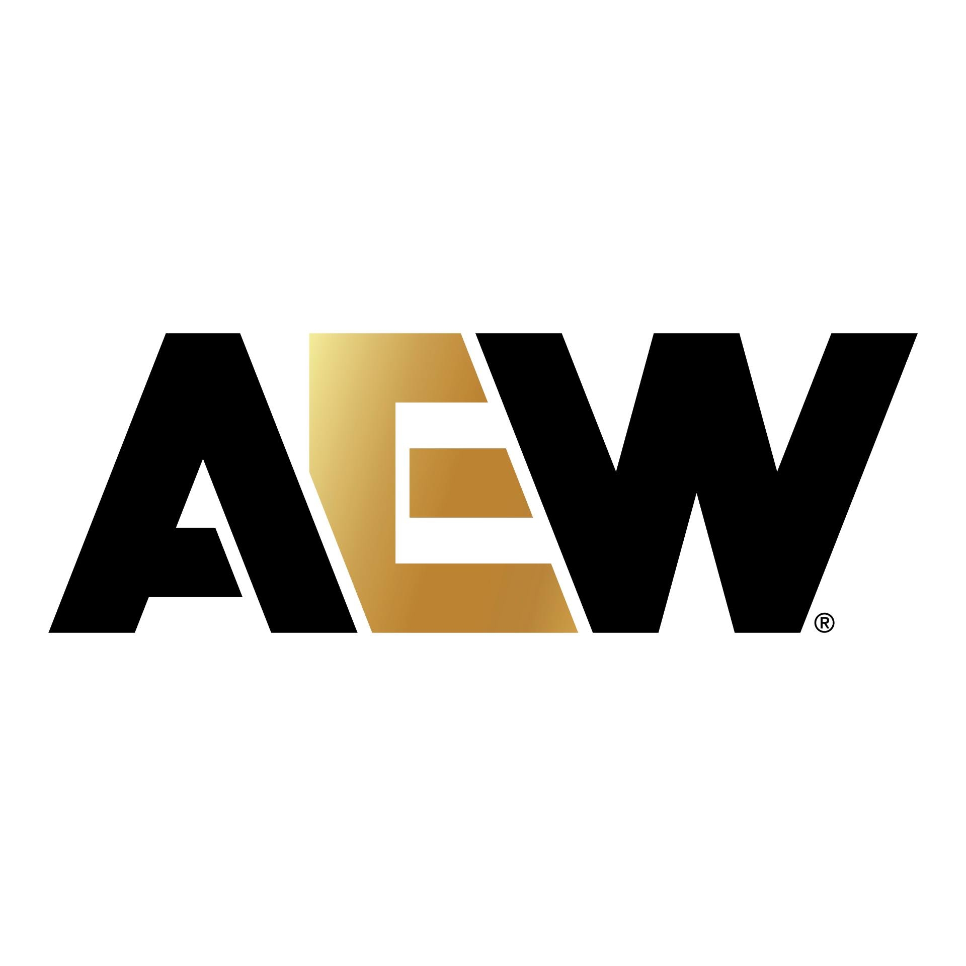 AEW : La fédération concurrente de la WWE vise désormais la France