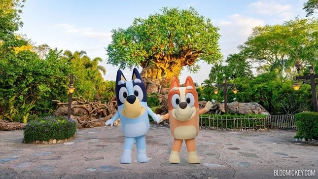 Bluey débarque officiellement dans les parcs Disney en 2026