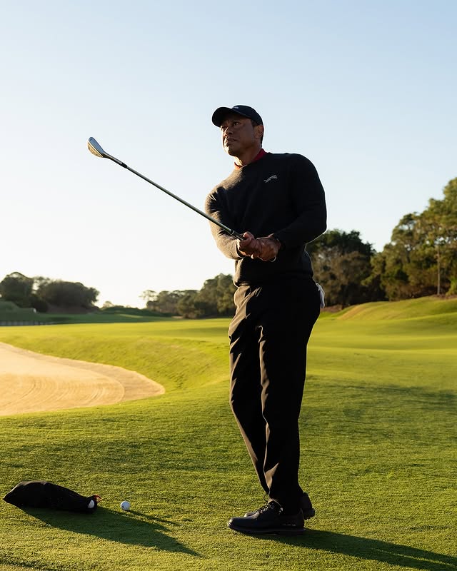 Tiger Woods arrêté après un accident : Ce que révèlent les premières conclusions