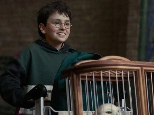 Harry Potter : HBO confirme déjà une saison 2 avant même la sortie de la série&nbsp;événement