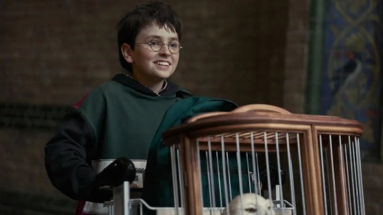 Harry Potter : HBO confirme déjà une saison 2 avant même la sortie de la série&nbsp;événement