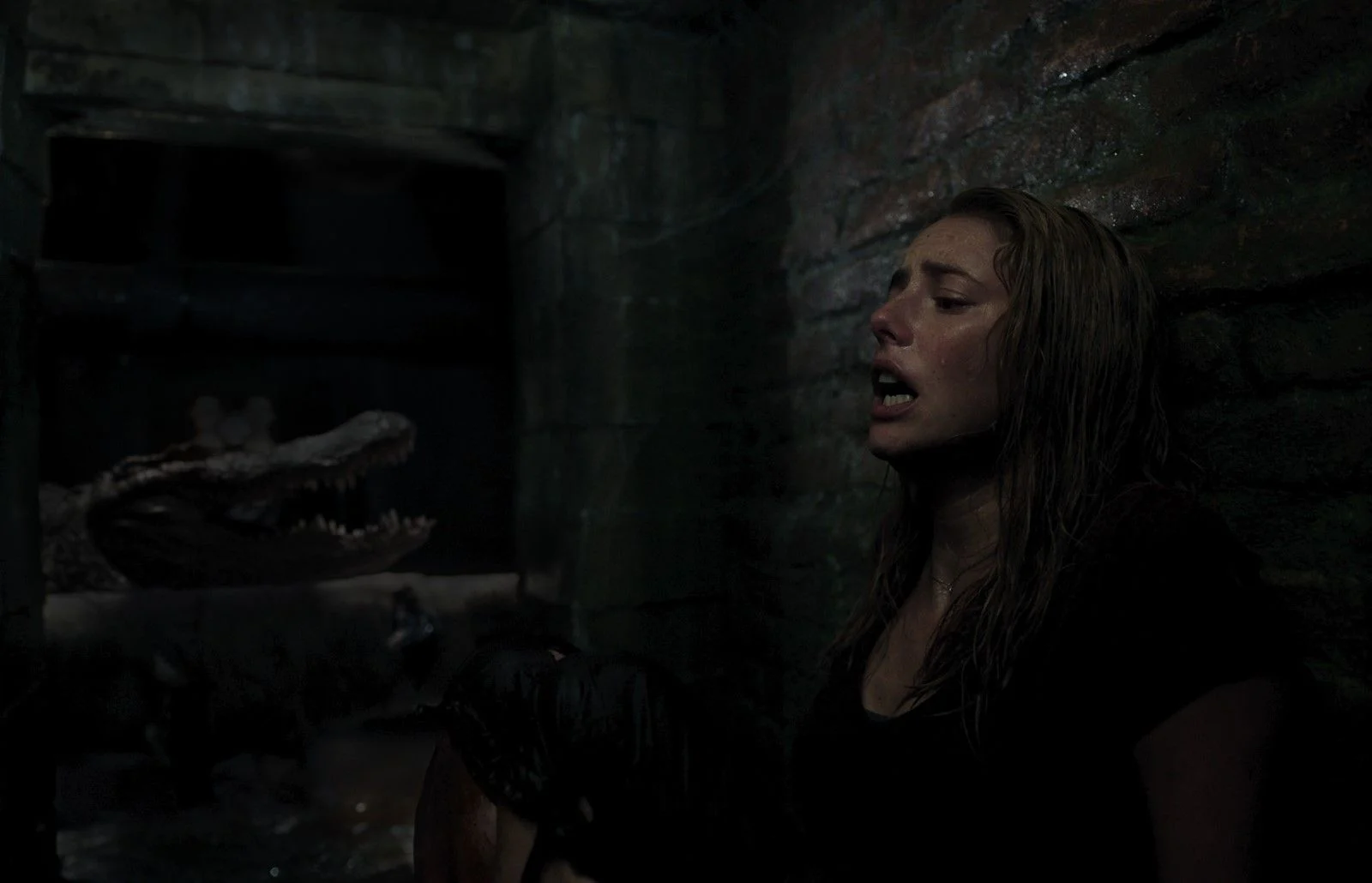 Crawl 2 : Les alligators débarquent à New York, Alexandre Aja prépare une suite encore plus terrifiante !